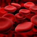 Dobrá krev přináší zdraví, špatná nemoci (chudokrevnost neboli anemie)