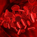 Krev spojuje duši s tělem