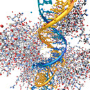 Epigenetika – nový pohled na dědičné příčiny chorob