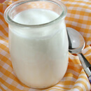 Sušená jogurtová kultura
