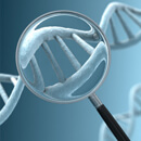 Profil genů je základ pro terapii rakoviny