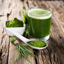 Mladý ječmen – zelený zdroj zdraví v jedné sklenici