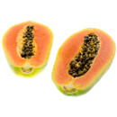 Papája obecná (Carica papaya)