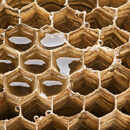 Včelí produkty a imunita