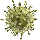 Co nám ukázala pandemie prasečí chřipky v letech 2009/2010