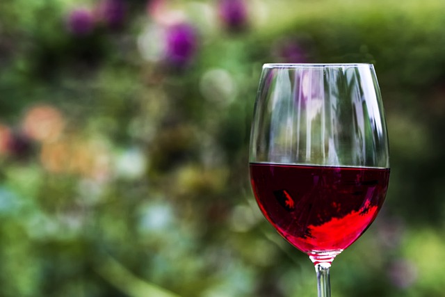 vino resveratrol antioxidant
