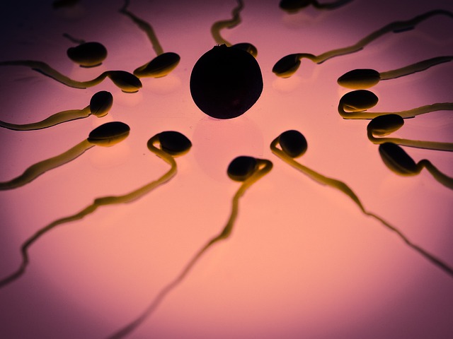 Jak zlepšit kvalitu spermií?